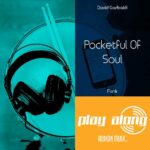 Pocketful Of Soul